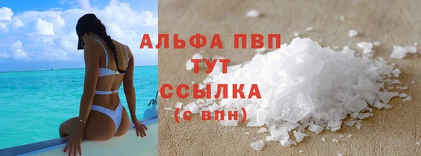 ECSTASY Елизово