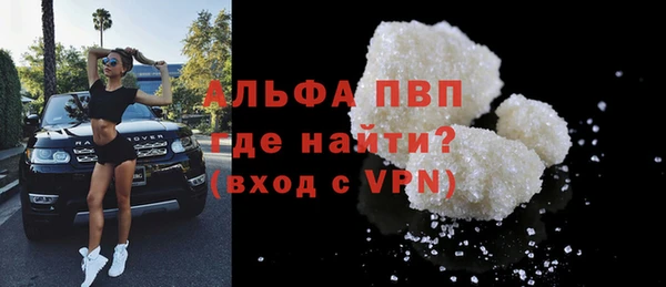 ECSTASY Елизово