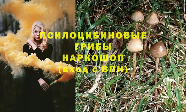 гашиш Ельня