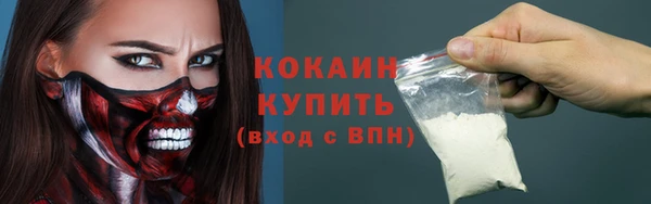 ECSTASY Елизово