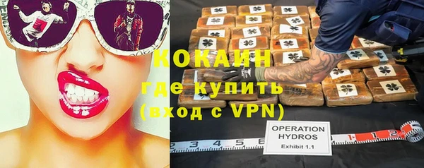 ECSTASY Елизово