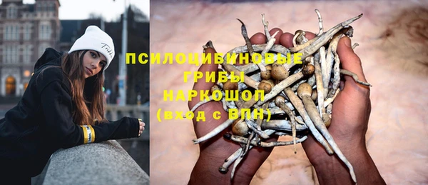 ECSTASY Елизово