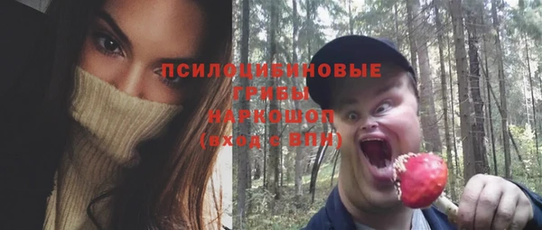 гашиш Ельня