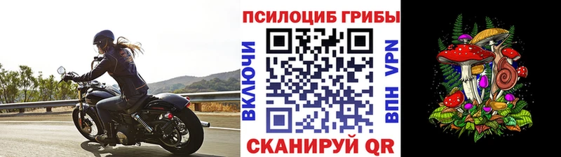 Галлюциногенные грибы Magic Shrooms  Купить закладки  Менделеевск 
